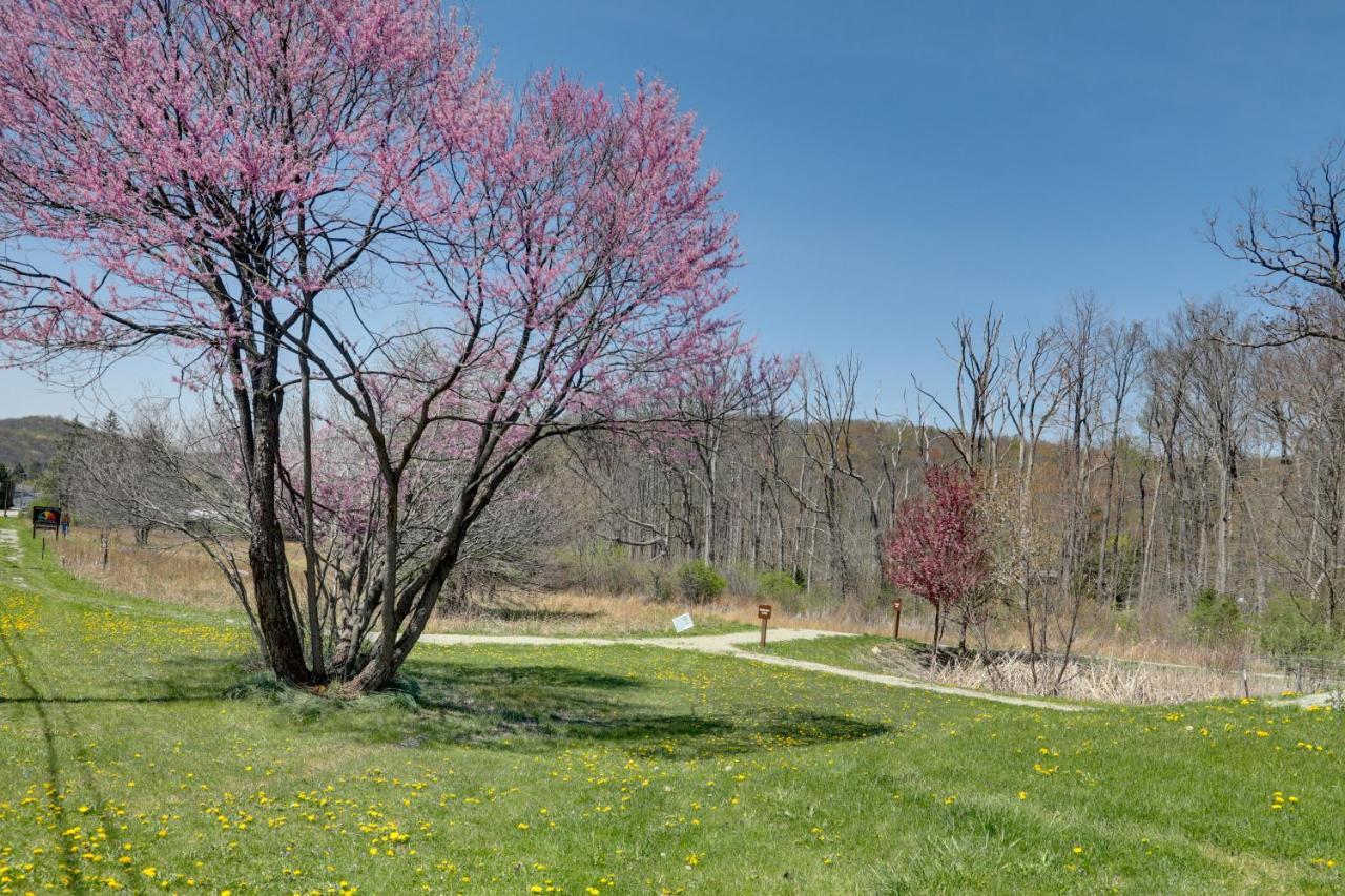 Pet-Friendly Pennsylvania Vacation Rental With Pool! Laughlintown Экстерьер фото